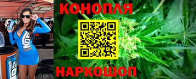 jwh Кингисепп