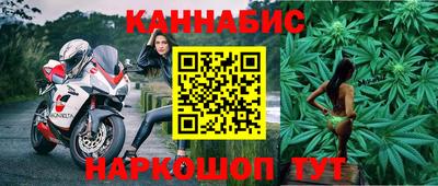 jwh Кингисепп
