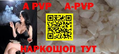 jwh Кингисепп