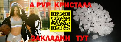 jwh Кингисепп
